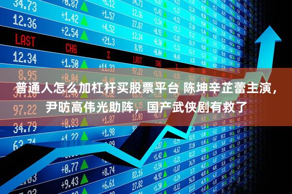 普通人怎么加杠杆买股票平台 陈坤辛芷蕾主演，尹昉高伟光助阵，国产武侠剧有救了