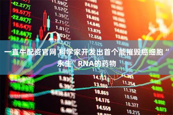 一直牛配资官网 科学家开发出首个能摧毁癌细胞“永生”RNA的药物
