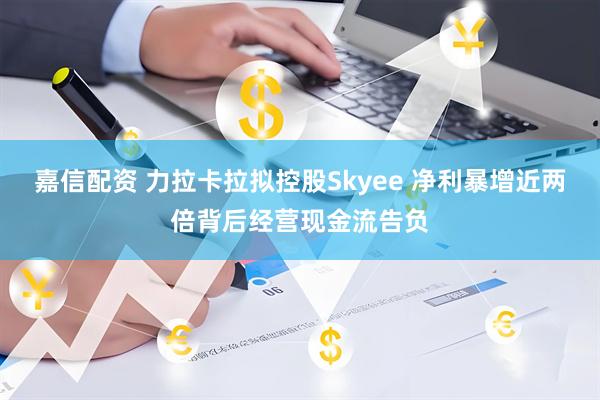 嘉信配资 力拉卡拉拟控股Skyee 净利暴增近两倍背后经营现金流告负